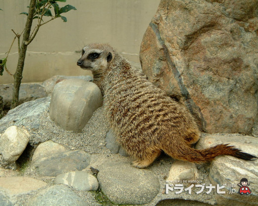 361506 (a): :1280x1024